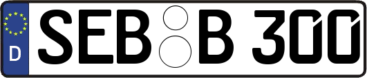 SEB-B300
