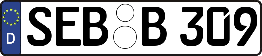 SEB-B309