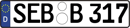 SEB-B317