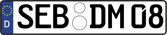 SEB-DM08