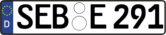 SEB-E291