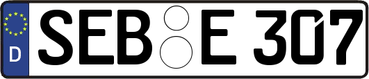 SEB-E307