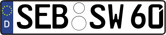 SEB-SW60