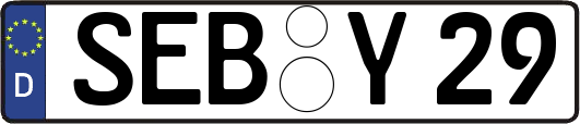 SEB-Y29