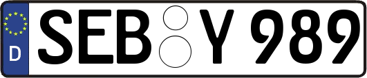 SEB-Y989