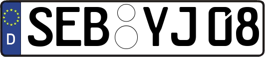SEB-YJ08