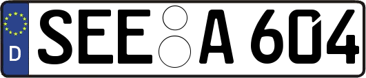 SEE-A604