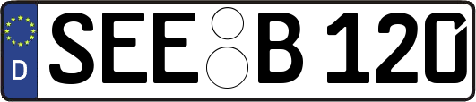 SEE-B120