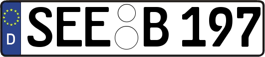 SEE-B197