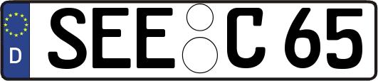 SEE-C65