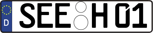 SEE-H01