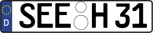 SEE-H31