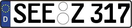 SEE-Z317