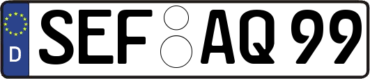 SEF-AQ99