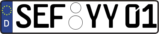 SEF-YY01