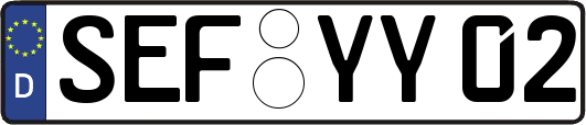 SEF-YY02