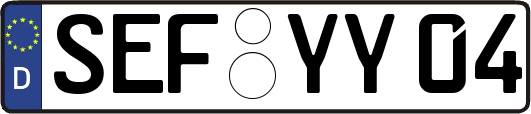 SEF-YY04