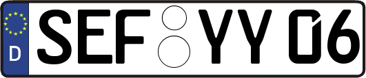 SEF-YY06