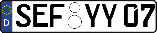 SEF-YY07