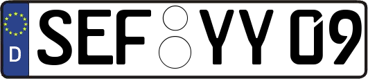 SEF-YY09
