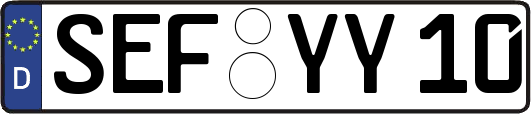 SEF-YY10