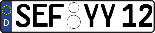 SEF-YY12