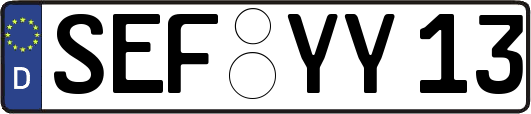SEF-YY13
