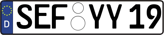 SEF-YY19