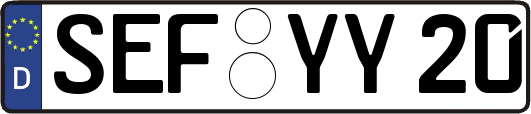 SEF-YY20