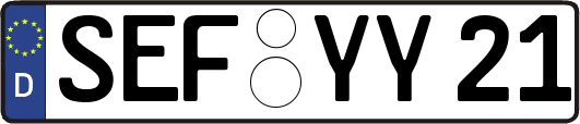 SEF-YY21