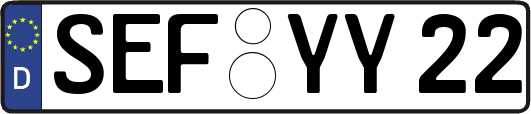 SEF-YY22