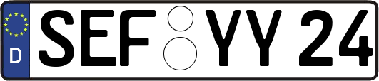 SEF-YY24