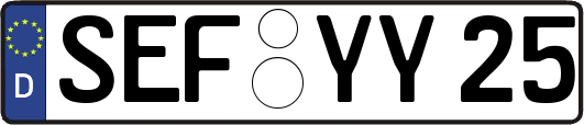 SEF-YY25