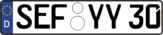 SEF-YY30