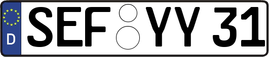 SEF-YY31