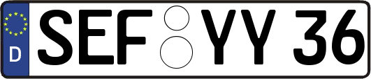 SEF-YY36