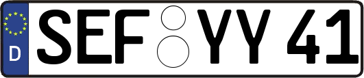 SEF-YY41