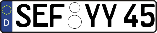 SEF-YY45