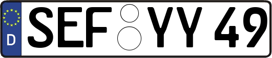 SEF-YY49