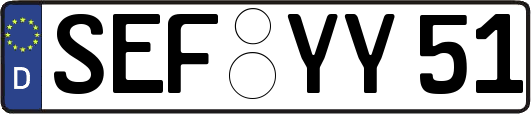 SEF-YY51