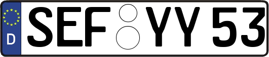 SEF-YY53