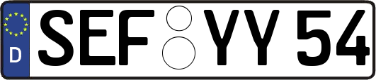 SEF-YY54