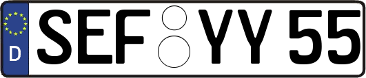 SEF-YY55
