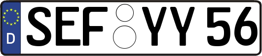 SEF-YY56