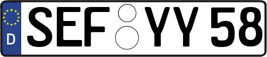 SEF-YY58