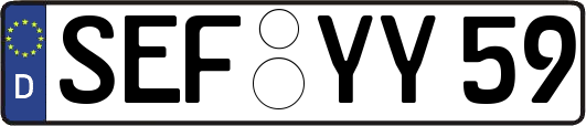 SEF-YY59