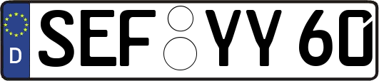SEF-YY60