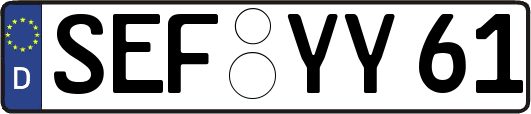 SEF-YY61