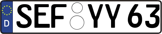 SEF-YY63