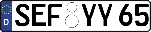 SEF-YY65